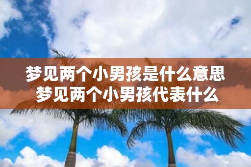 梦见两个小男孩是什么意思 梦见两个小男孩代表什么