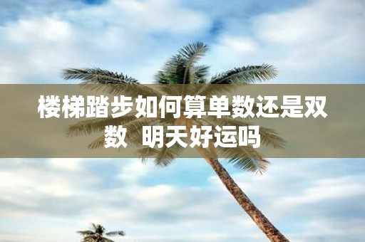 楼梯踏步如何算单数还是双数 明天好运吗
