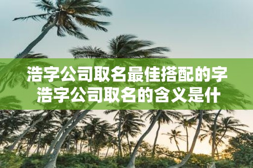 浩字公司取名最佳搭配的字 浩字公司取名的含义是什么