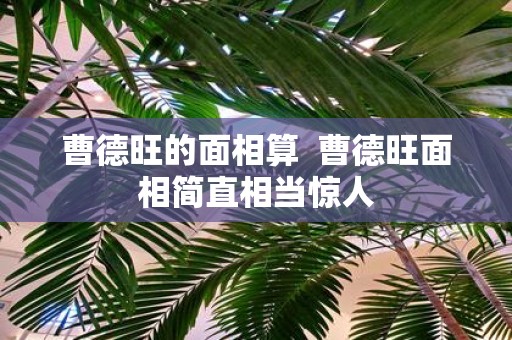 曹德旺的面相算 曹德旺面相简直相当惊人
