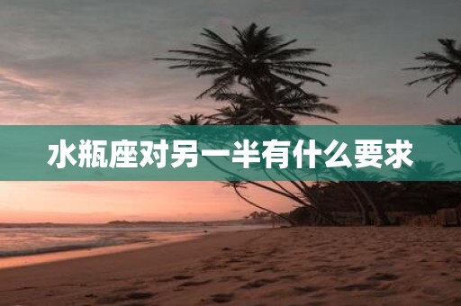 水瓶座对另一半有什么要求