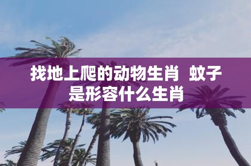 找地上爬的动物生肖 蚊子是形容什么生肖
