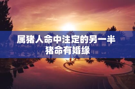 属猪人命中注定的另一半 猪命有婚缘