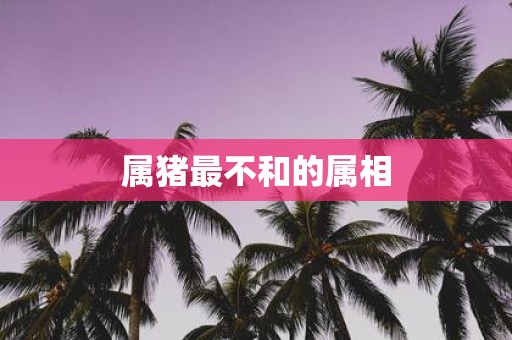 属猪最不和的属相