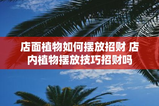 店面植物如何摆放招财 店内植物摆放技巧招财吗