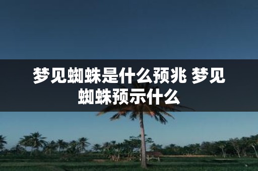 梦见蜘蛛是什么预兆 梦见蜘蛛预示什么