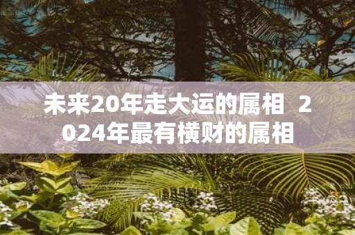 未来20年走大运的属相 2025年最有横财的属相