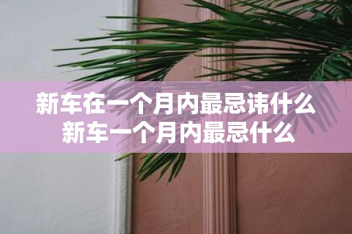 新车在一个月内最忌讳什么 新车一个月内最忌什么