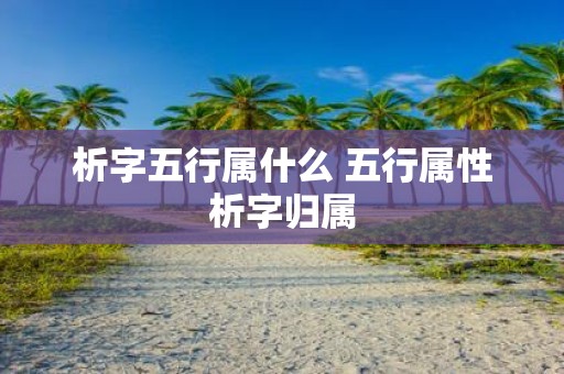 析字五行属什么 五行属性析字归属