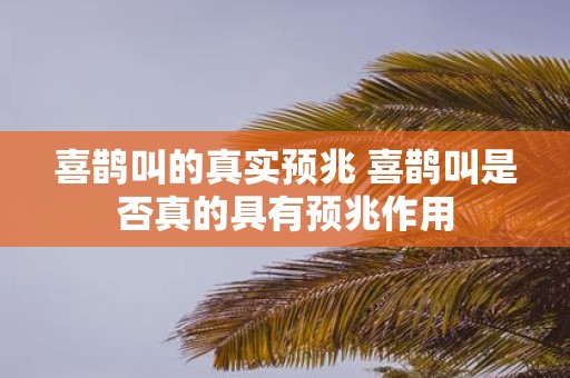 喜鹊叫的真实预兆 喜鹊叫是否真的具有预兆作用