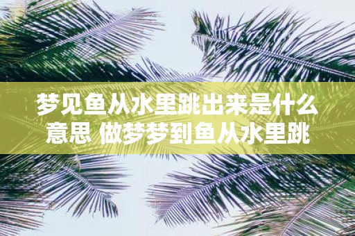 梦见鱼从水里跳出来是什么意思 做梦梦到鱼从水里跳出来好不好