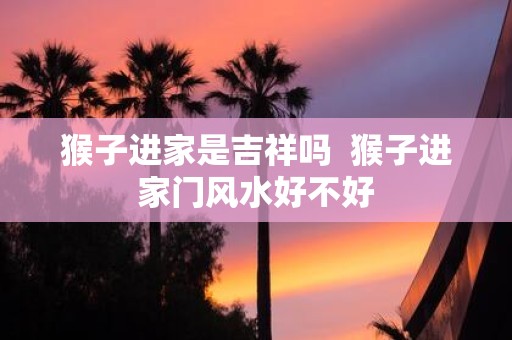 猴子进家是吉祥吗 猴子进家门风水好不好