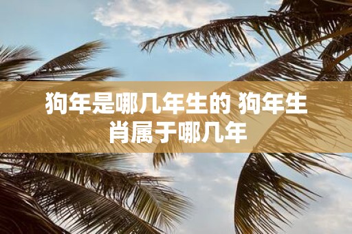 狗年是哪几年生的 狗年生肖属于哪几年