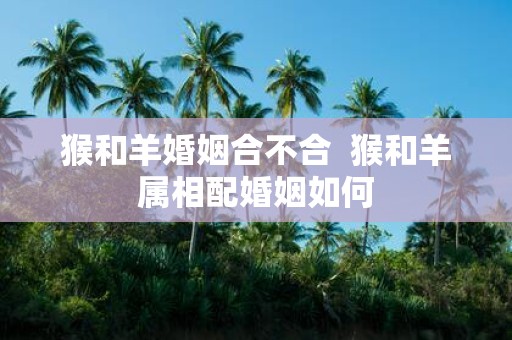 猴和羊婚姻合不合 猴和羊属相配婚姻如何
