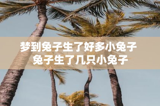 梦到兔子生了好多小兔子 兔子生了几只小兔子