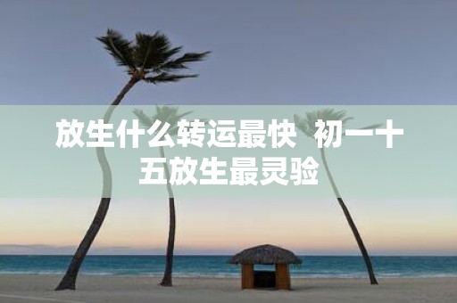 放生什么转运最快 初一十五放生最灵验