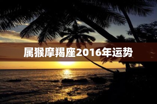 属猴摩羯座2016年运势