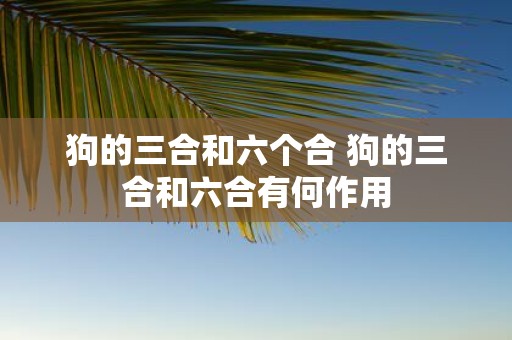 狗的三合和六个合 狗的三合和六合有何作用