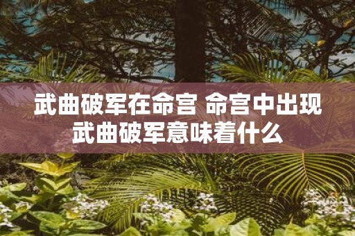 武曲破军在命宫 命宫中出现武曲破军意味着什么