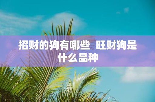 招财的狗有哪些 旺财狗是什么品种