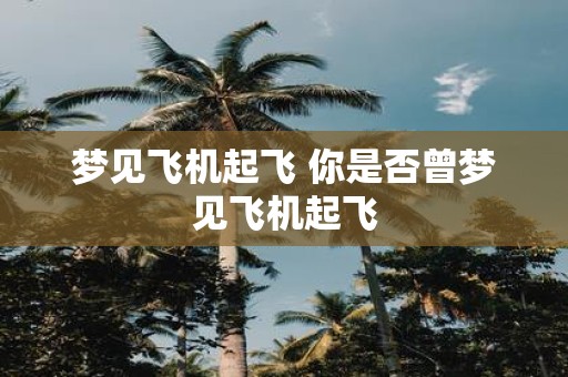 梦见飞机起飞 你是否曾梦见飞机起飞