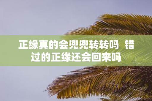 正缘真的会兜兜转转吗 错过的正缘还会回来吗