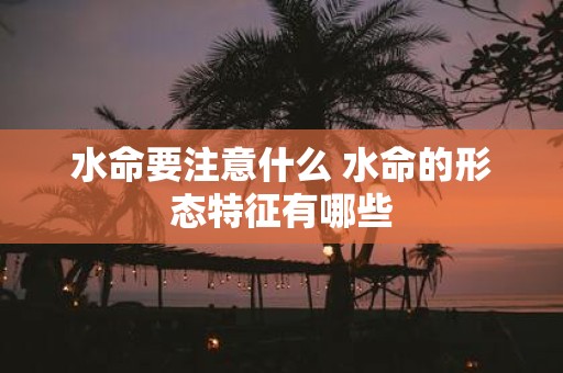 水命要注意什么 水命的形态特征有哪些