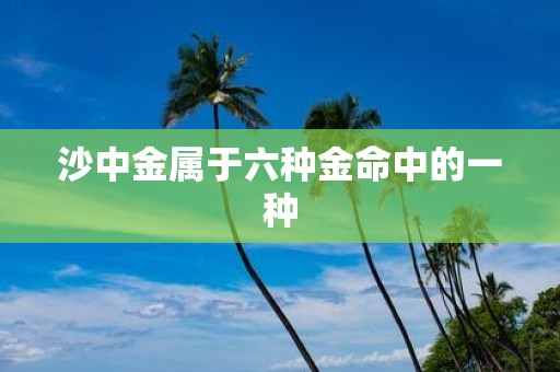 沙中金属于六种金命中的一种