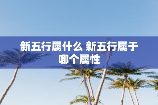 新五行属什么 新五行属于哪个属性