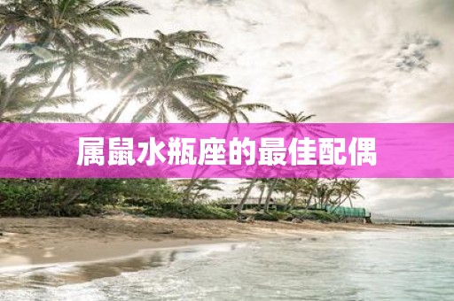 属鼠水瓶座的最佳配偶