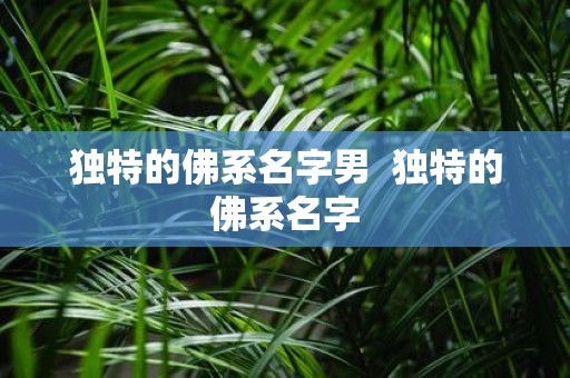 独特的佛系名字男 独特的佛系名字