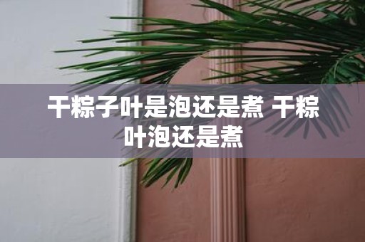 干粽子叶是泡还是煮 干粽叶泡还是煮