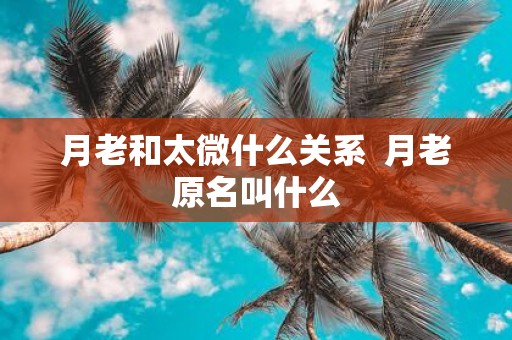 月老和太微什么关系 月老原名叫什么