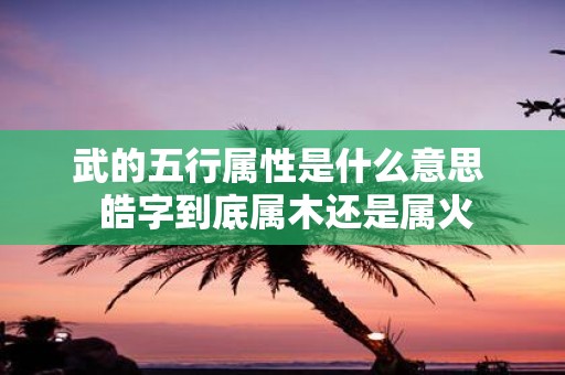 武的五行属性是什么意思 皓字到底属木还是属火