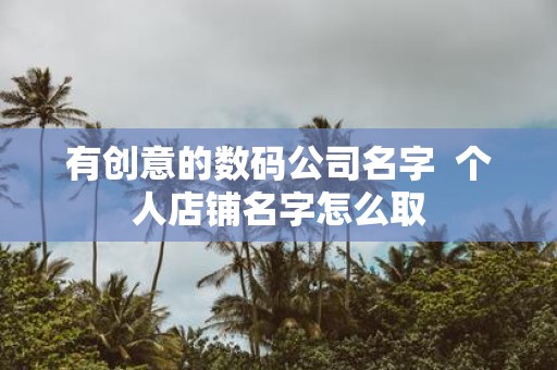 有创意的数码公司名字 个人店铺名字怎么取