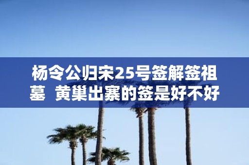 杨令公归宋25号签解签祖墓 黄巢出寨的签是好不好