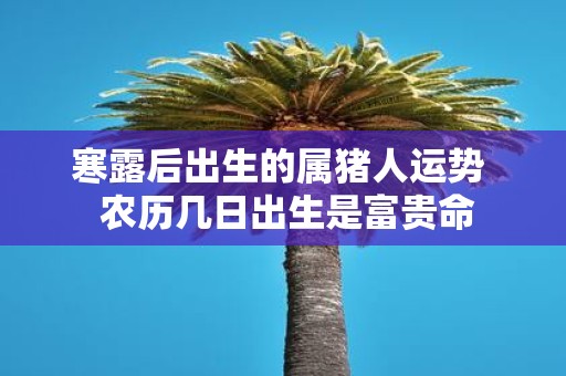 寒露后出生的属猪人运势 农历几日出生是富贵命