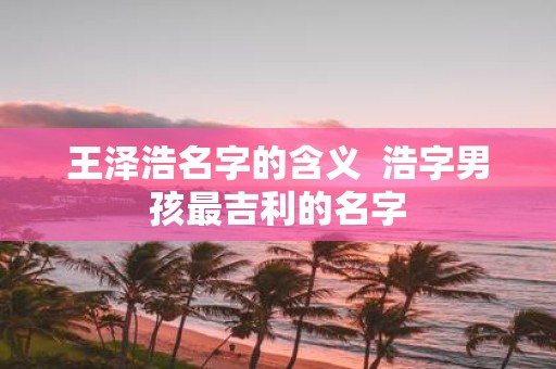 王泽浩名字的含义 浩字男孩最吉利的名字