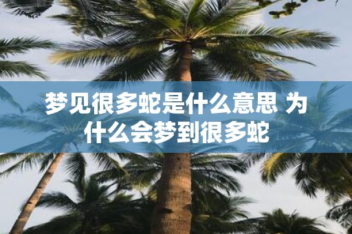 梦见很多蛇是什么意思 为什么会梦到很多蛇