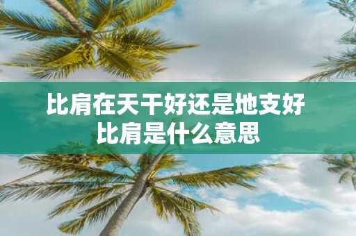 比肩在天干好还是地支好 比肩是什么意思