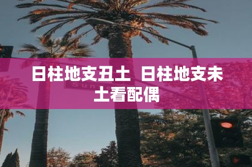 日柱地支丑土 日柱地支未土看配偶