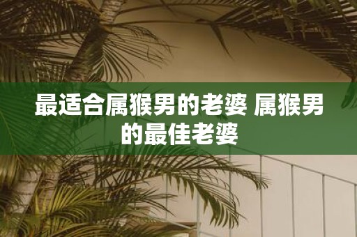 最适合属猴男的老婆 属猴男的最佳老婆