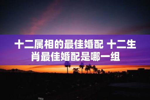 十二属相的最佳婚配 十二生肖最佳婚配是哪一组