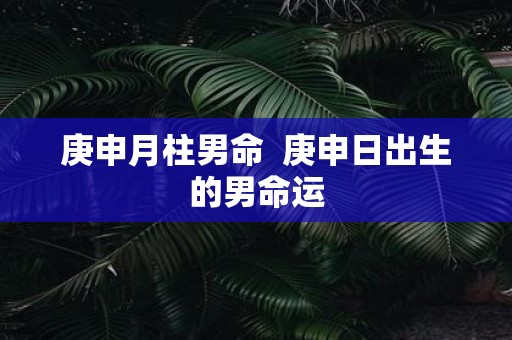 庚申月柱男命 庚申日出生的男命运