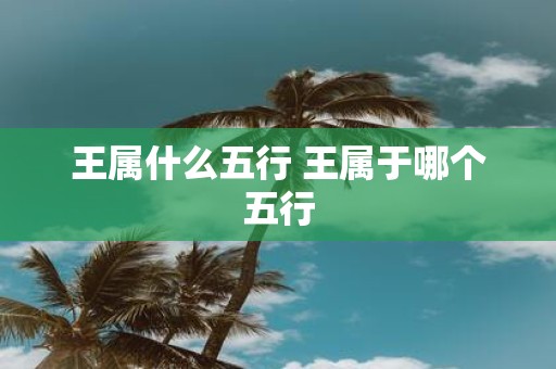 王属什么五行 王属于哪个五行
