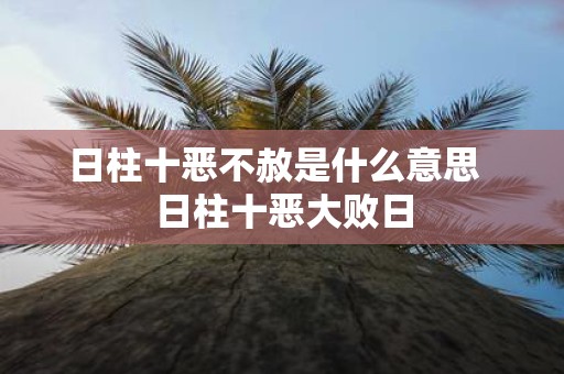 日柱十恶不赦是什么意思 日柱十恶大败日
