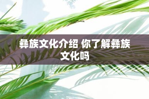 彝族文化介绍 你了解彝族文化吗