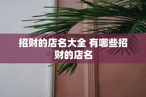 招财的店名大全 有哪些招财的店名