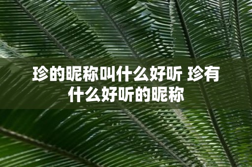 珍的昵称叫什么好听 珍有什么好听的昵称