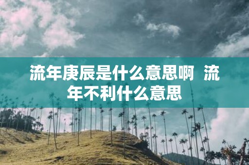 流年庚辰是什么意思啊 流年不利什么意思